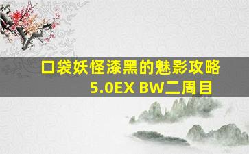 口袋妖怪漆黑的魅影攻略5.0EX BW二周目